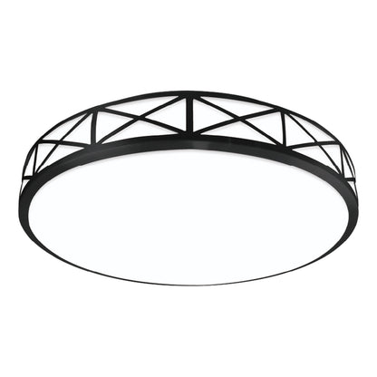 FLUSH MOUNT CEILING LIGHT