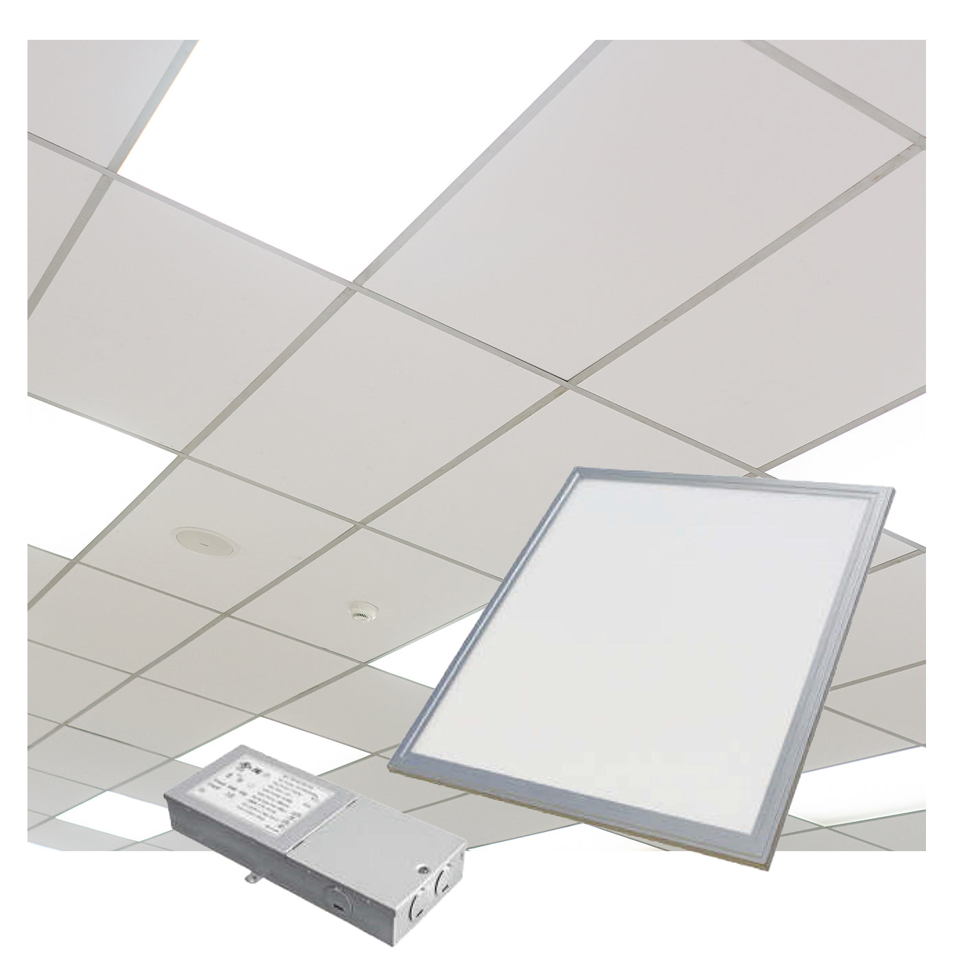 LED Panel Light - 2x2 / 2x4 (Pack of 6)