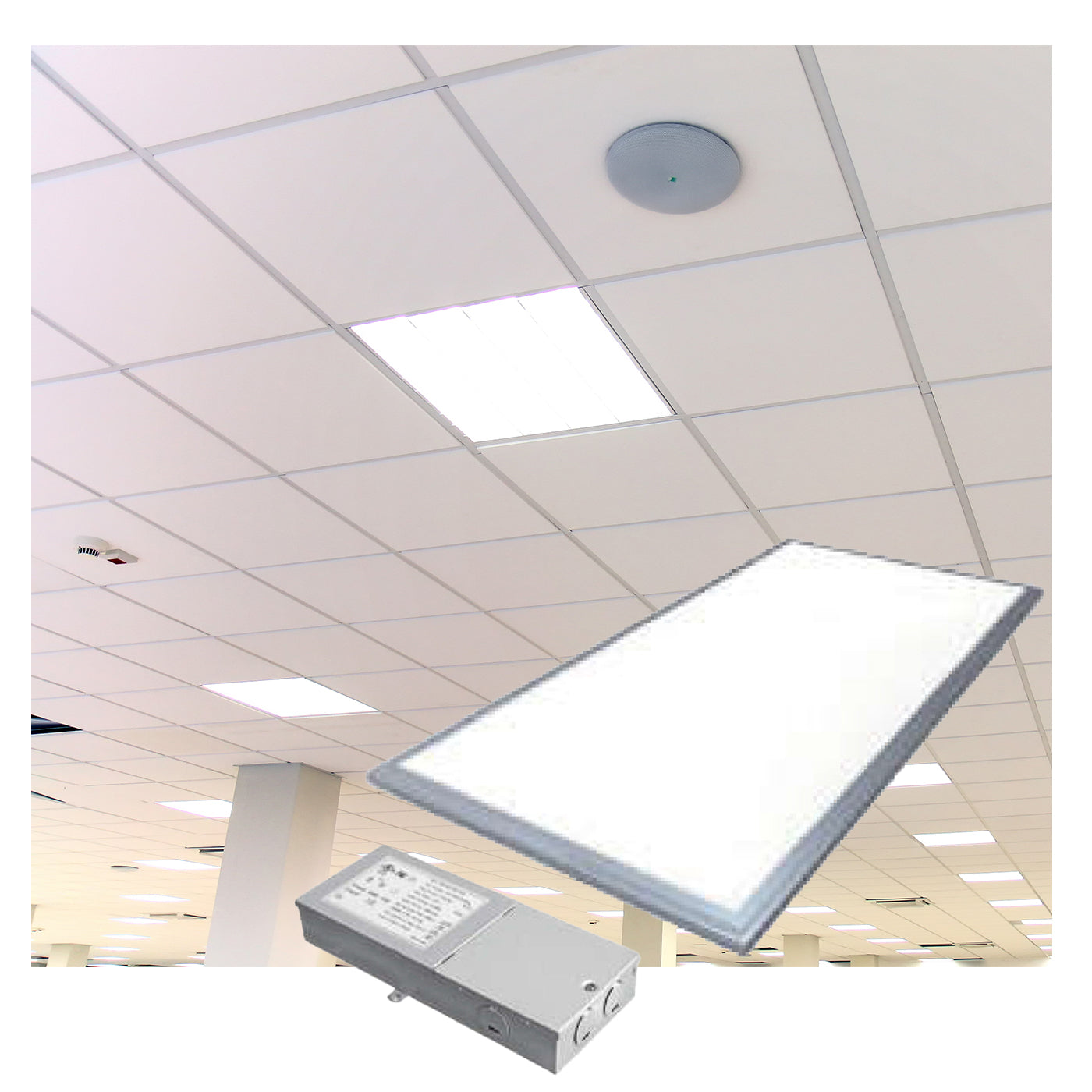LED Panel Light - 2x2 / 2x4 (Pack of 6)